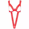 Bodijs Passion S/M Kyouka Teddy D-228690 Photo 2