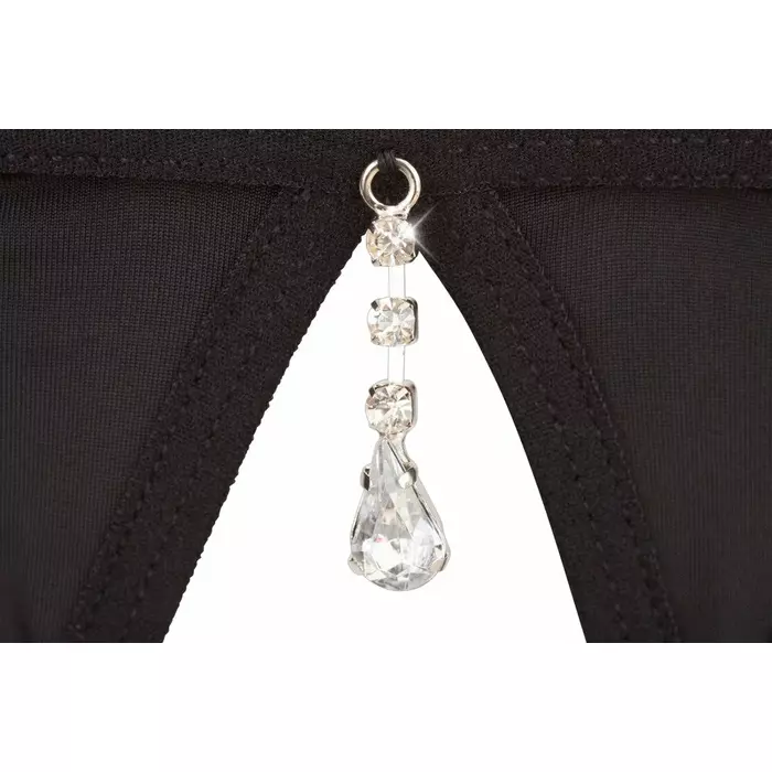 Lingerie set abierta fina Rhinestone Shelf Bra Set 85C/L Photo 10