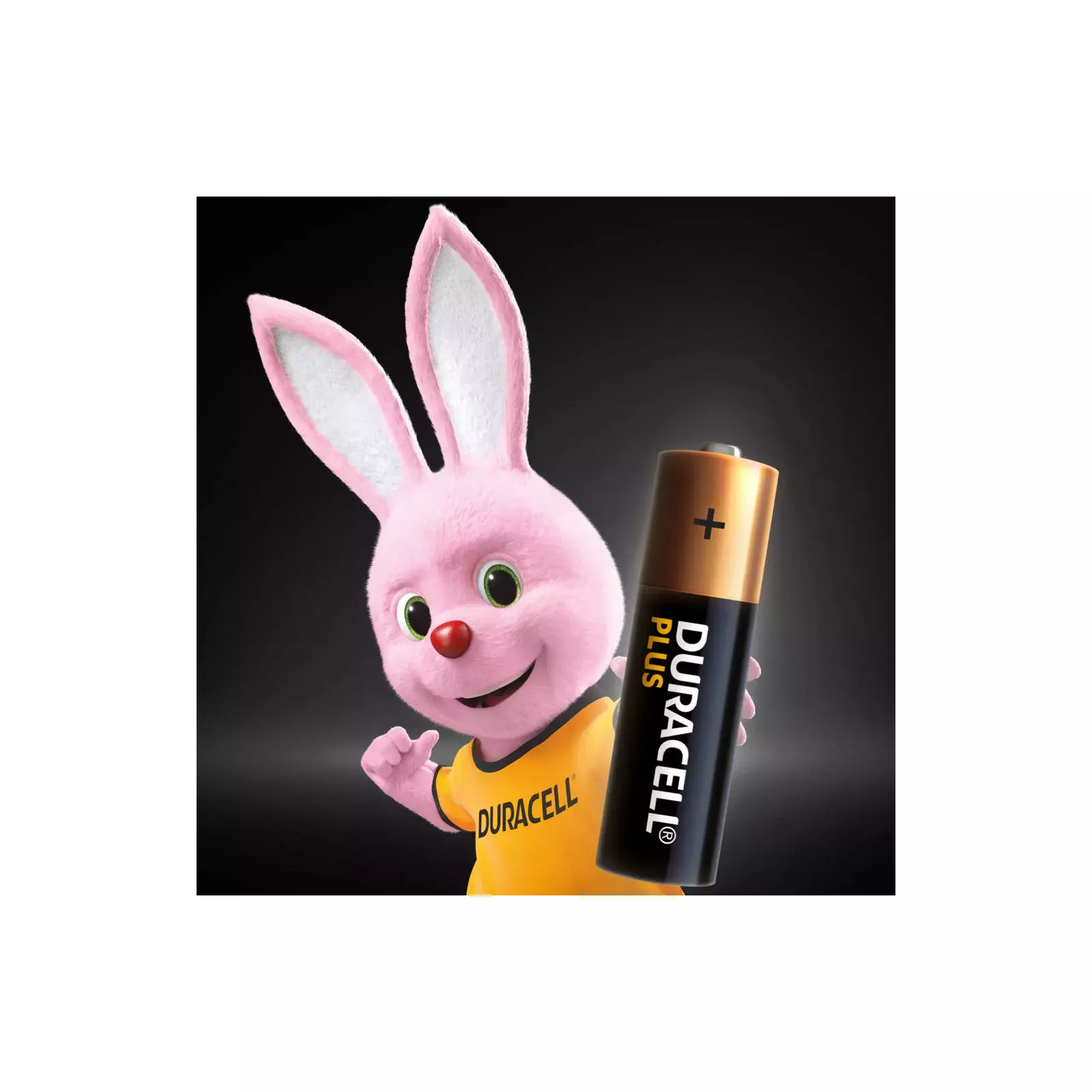 Duracell Plus 5010810 Photo 2