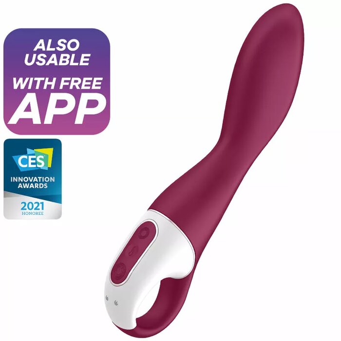 VIBRATOR D-231309 Photo 1