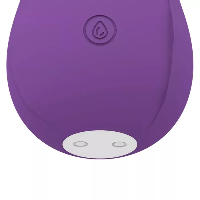 Стимулятор MIA Rose Air Wave Limited Edition фиолетовый Photo 4