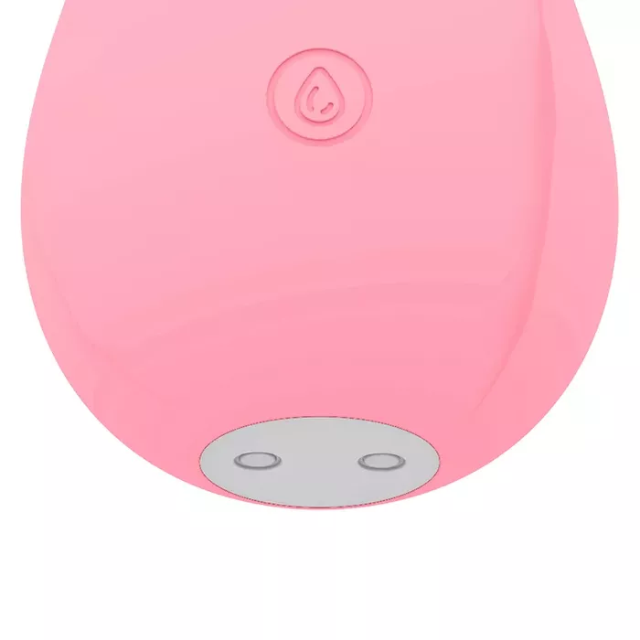Massager MIA Rose Air Wave Stimulator D-232454 Photo 4