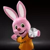 Duracell 2016 5007666 Photo 2
