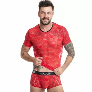 Men's short-sleeve T-shirt ANAIS MEN BRAVE T-SHIRT size S, cotton/cotton-blend everyday tee