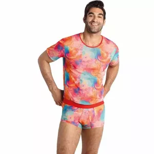 Men's short-sleeve T-shirt ANAIS MEN Falcon T-Shirt size S, crew neck, regular fit