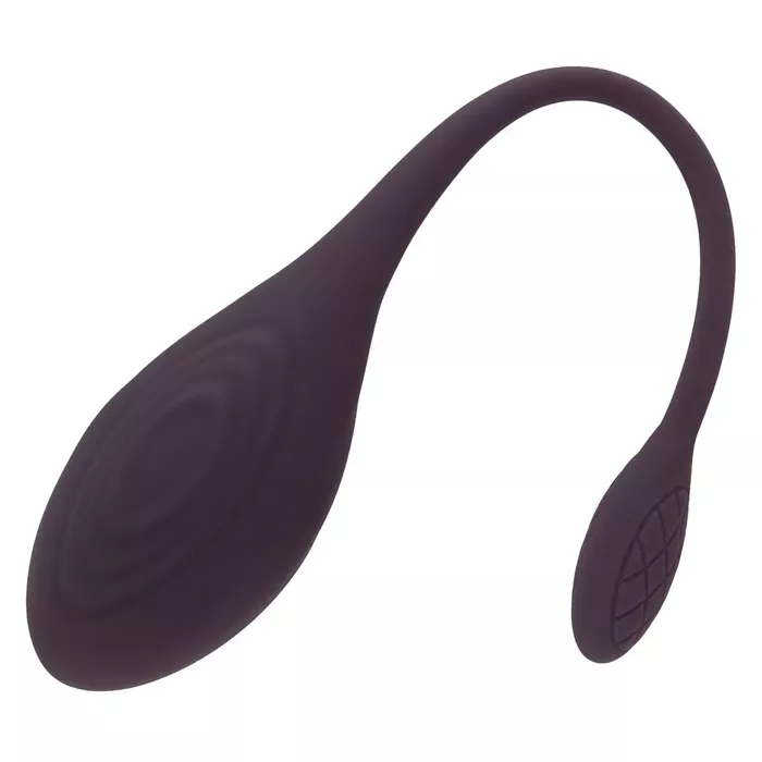 Vaginal Trainer Love Egg — Training Pleasure Balls 10 modes Photo 3