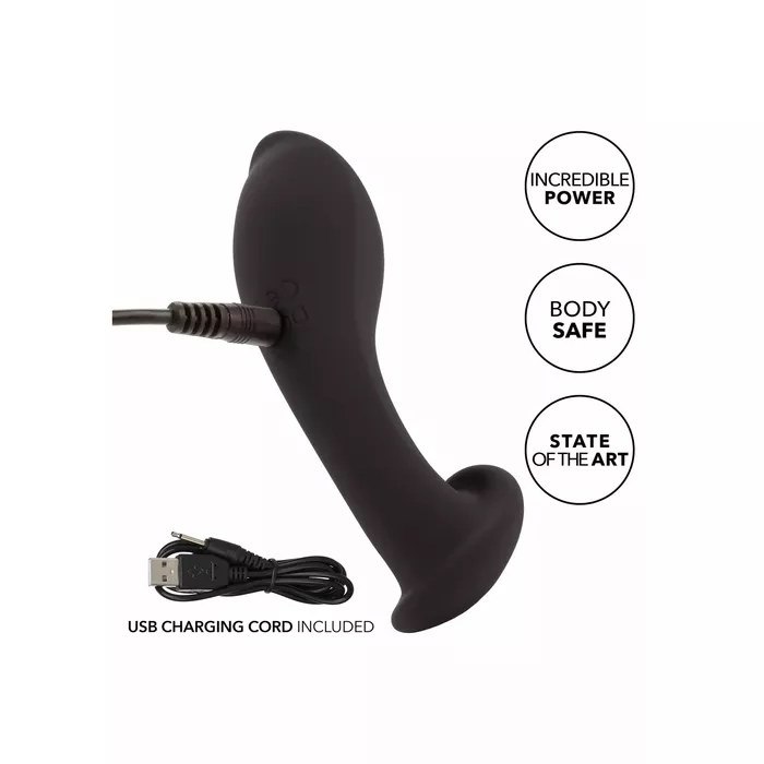 Anālā zonde CalExotics LIQUID SILICONE FLEX PROBE Photo 6