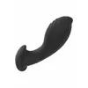 CALEXOTICS Liquid Silicone Flex Probe 14874 Photo 12
