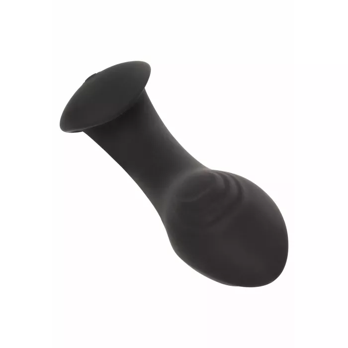 Anālā zonde CalExotics LIQUID SILICONE FLEX PROBE Photo 13