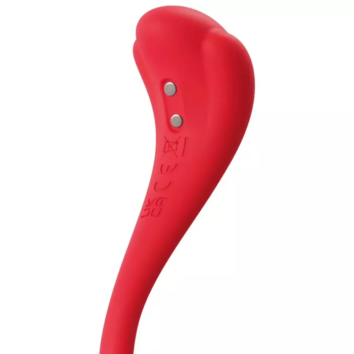 Svakom Phoenix Neo 2 silicone vibrator Photo 4