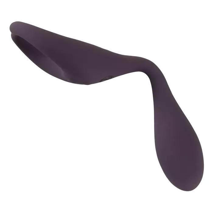 Couples Choice Silicone Couple's Vibrator CC RC Photo 9