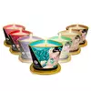 SHUNGA Exotic Fruits 8401600 Photo 2