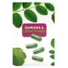 hot HOT BIO Moringa Libido Caps 60 капсул Photo 4