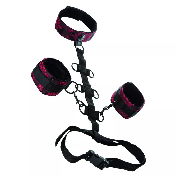 CalExotics 13024 716770082770 Photo 1