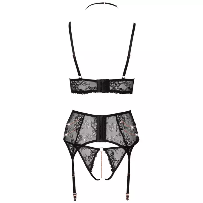 Apakšveļas komplekts abierta fina Bra Suspender Set XL Photo 8