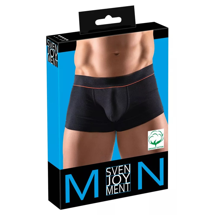 Vīriešu bikses Modelis 21330321731 no Svenjoyment Photo 1