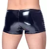 Мужские виниловые байкерские брюки Black Level Vinyl M. Pants Biker M Photo 5