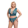 cottellicollection 22141054051 Photo 2