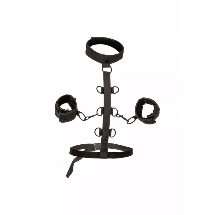 Body Restraint CalExotics BOUNDLESS COLLAR 14228 Photo 1