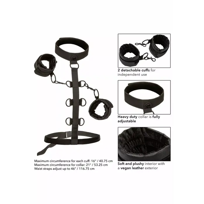 Body restraint CalExotics Boundless Collar Body Restraint Photo 6