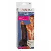 CalExotics 12070 716770008329 Photo 2
