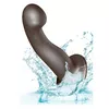 CalExotics 12864 Photo 5