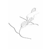 SHUNGA 69205 697309906043 Photo 7