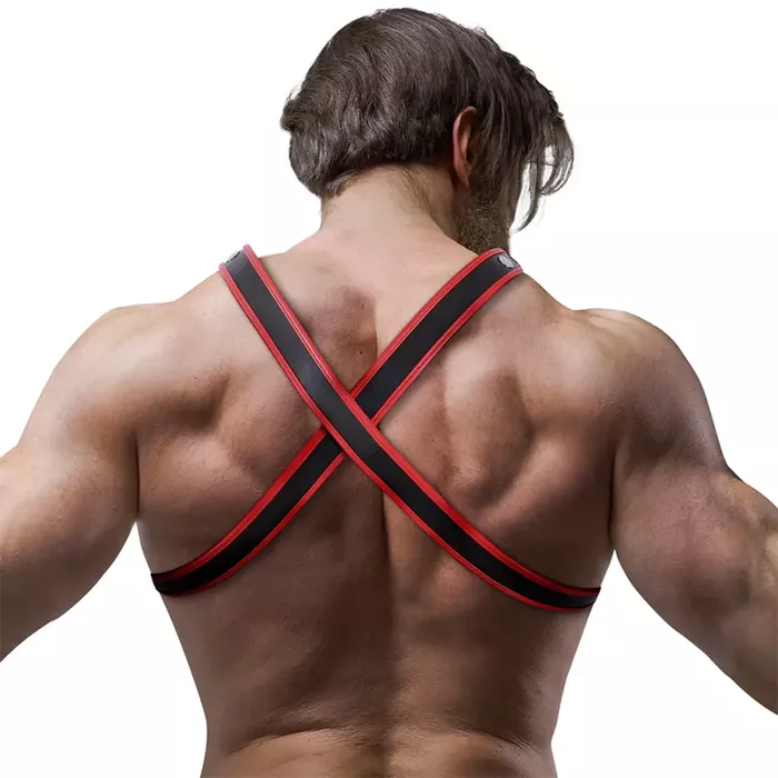 Нагрудная шлейка Chest Bulldog — FETISH SUBMISSIVE ATTITUDE Photo 2