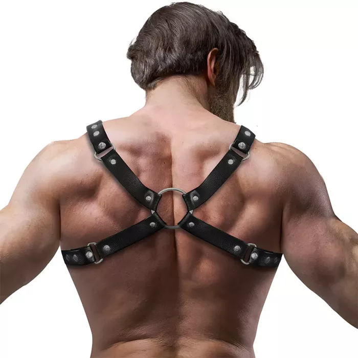 Krūšu siksna FETISH SUBMISSIVE ATTITUDE Bulldog M/L Photo 2