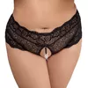 Biksītes ar pērļiem 2XL, Modelis 23110201061 Photo 2