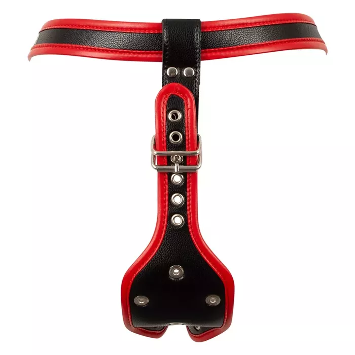 Strap-on harness bad kitty Harn 2XL Photo 13