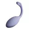 NIYA 1 Vibrator, Model 54036000000 Photo 4