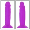 Addiction Silly Willy Displejs Modelis 50036010000 Photo 4