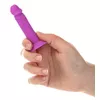 Addiction Silly Willy Displejs Modelis 50036010000 Photo 7