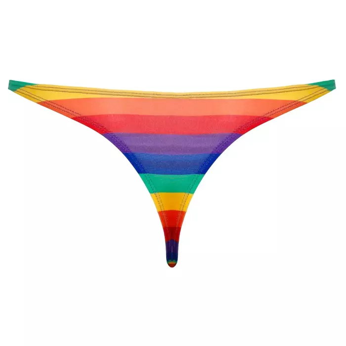 Мужские стринги Svenjoyment Thong Rainbow L Photo 5