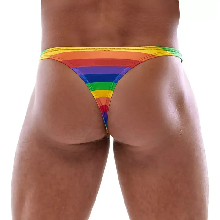 Svenjoyment Thong Rainbow 2XL — мужские стринги Photo 3