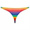Svenjoyment Thong Rainbow 2XL — мужские стринги Photo 5