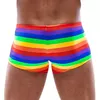 Men's Boxer Briefs Rainbow S - 21331649701 Photo 4
