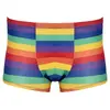 Мужские боксер-брифы Svenjoyment Rainbow M Photo 5