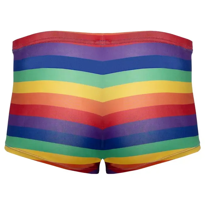 Мужские боксер-брифы Svenjoyment Rainbow M Photo 6