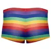 Мужские боксер-брифы Svenjoyment Rainbow M Photo 6