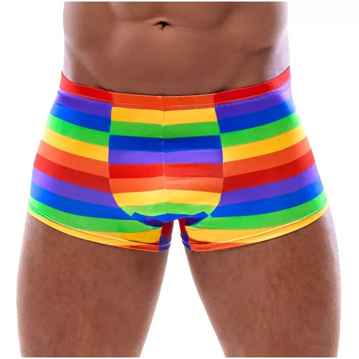 Vīriešu bokseršorti Svenjoyment Rainbow — L Photo 2