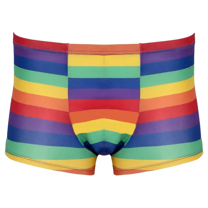 Vīriešu bokseršorti Svenjoyment Rainbow — L Photo 5