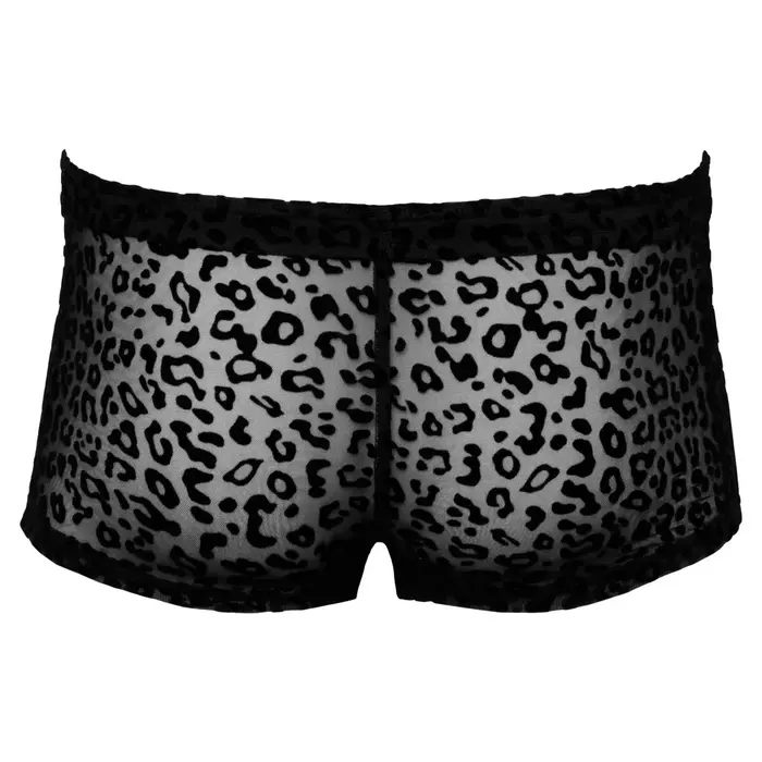 Noir M.Pants leo женские брюки 2XL Photo 5