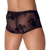 Noir M.Pants XL - Modelis 21332611731 Photo 3
