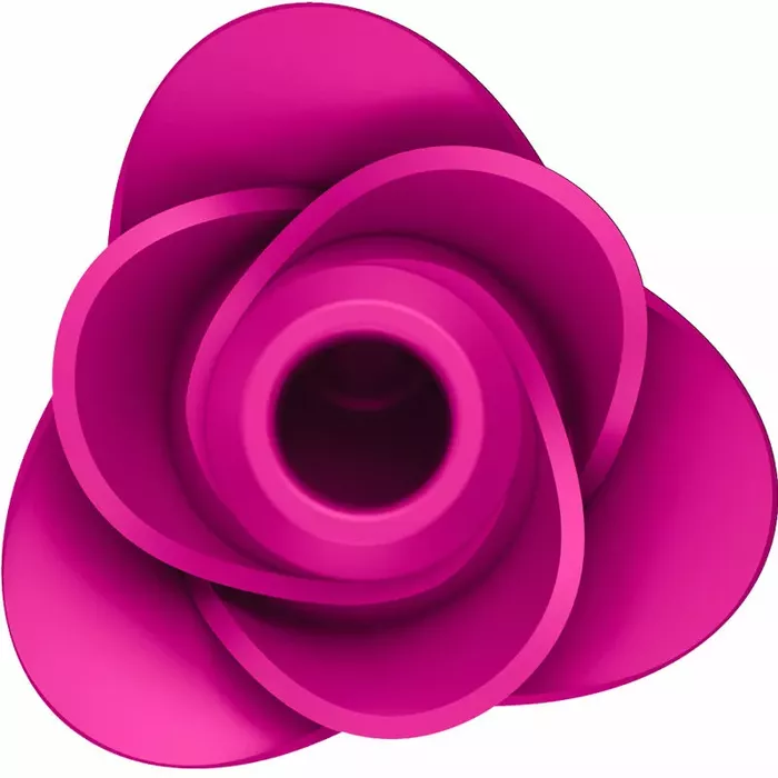 Vibrator SATISFYER AIR PULSE PRO 2 MODERN BLOSSOM Photo 2