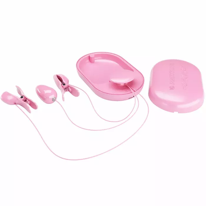 Elektrostimulācijas knaibles Pretty Love Surprise Box Pink Photo 3