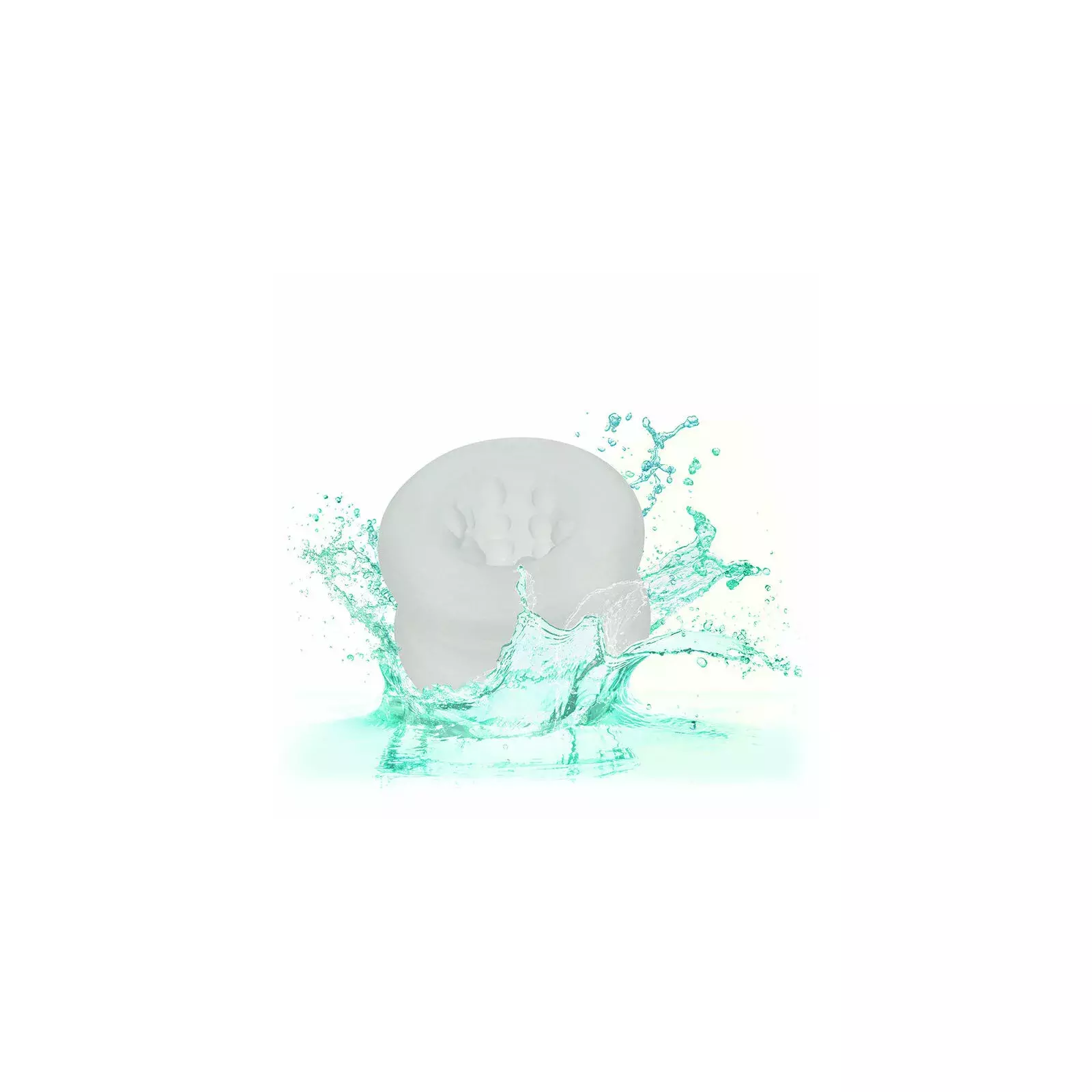 CalExotics D-238410 716770106742 Photo 8