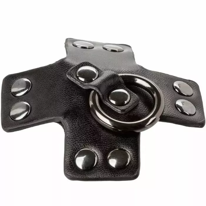 CalExotics Euphoria O-ring — black elastic ring Photo 5