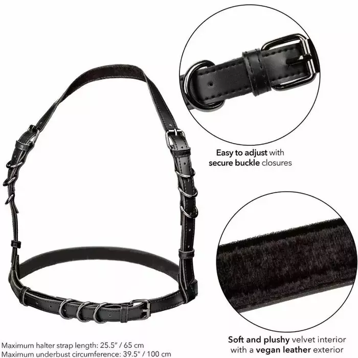 CalExotics Euphoria Halter Buckle Harness — body harness Photo 5